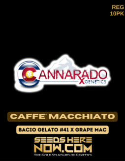 Cannarado Genetics - Caffe' Macchiato {REG} [10pk]Cannarado Caffe' Macchiato
