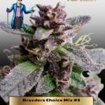 Breeders' Choice Mix #3 (Regular) - DJ Short Seeds