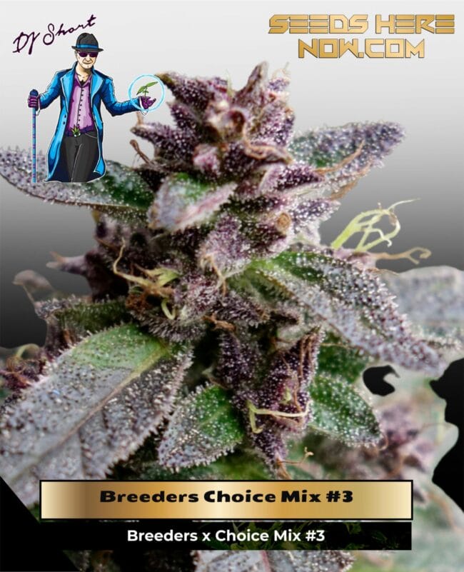Breeders' Choice Mix #3 (Regular) - DJ Short Seeds