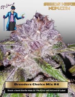 Breeders' Choice Mix #4 (Regular) (space) DJ Short Seeds