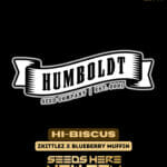 Hi - Biscus (Feminized) - Humboldt Seed Company