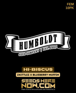 Hi-biscus (feminized) - Humboldt Seed Company