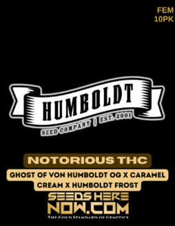Humboldt Seed Company - Notorious THC {FEM} [10pk]Humboldt Notorious THC