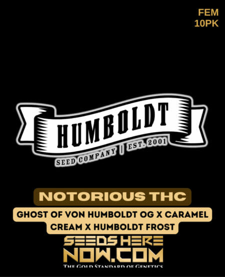Humboldt Notorious Thc