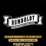 Raspberry Parfait (Feminized) - Humboldt Seed Company