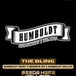 The Bling (Feminized) - Humboldt Seed Company