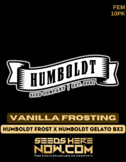Humboldt Seed Company - Vanilla Frosting {FEM} [10pk]Humboldt Vanilla Frosting