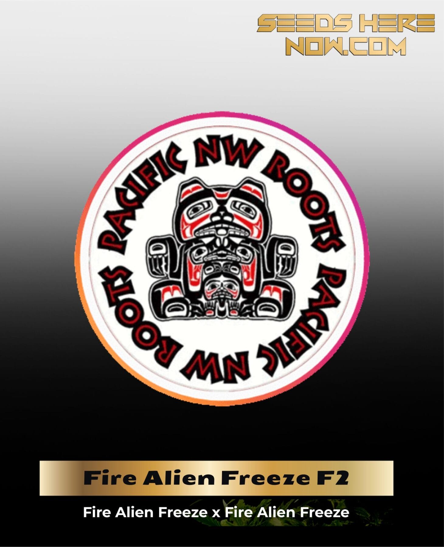 Fire Alien Freeze F2 (Regular) - Pacific Northwest Roots