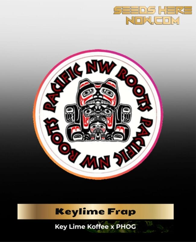 Keylime Frap (Regular) - Pacific Northwest Roots