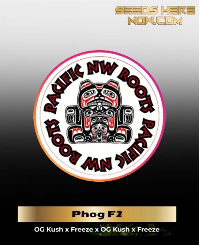 Phog F2 (Regular) - Pacific Northwest Roots