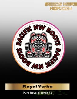 Royal Yerba (Regular) (space) Pacific Northwest Roots