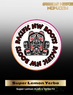 Super Lemon Yerba (Regular) (space) Pacific Northwest Roots