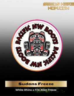Sudan's Freeze (Regular) (space) Pacific Northwest Roots