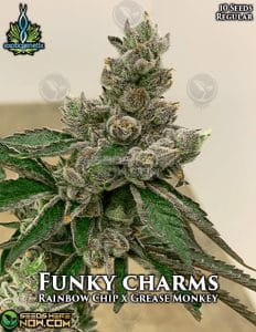 Funky Charms (regular) - Exotic Genetix