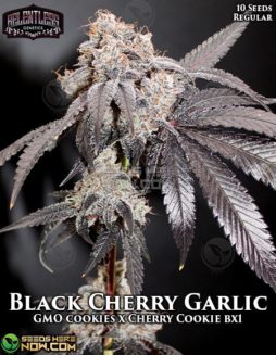 Relentless Genetics - Black Cherry Garlic {REG} [10pk]relentless-genetics-black-cherry-garlic