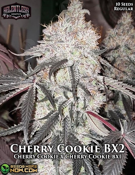 Relentless-Genetics-Cherry-Cookie-Bx2
