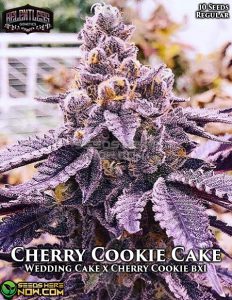Cherry Cookie Cake (regular) - Relentless Genetics
