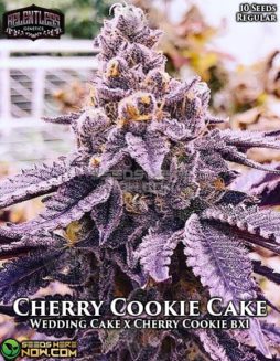 Relentless Genetics - Cherry Cookie Cake {REG} [10pk]relentless-genetics-cherry-cookie-cake