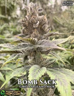 Sage Against the Machine - Bomb Sack {REG} [10pk]satm-bomb-sack