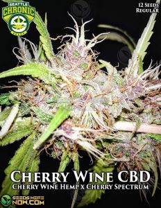 Cherry Wine Spectrum CBD (Regular) - Seattle Chronic Seeds