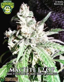 Seattle Chronic Seeds - MacTite F2 OP RETIRED {REG} [12pk]seattle-chronic-seeds-mactite-f2-op