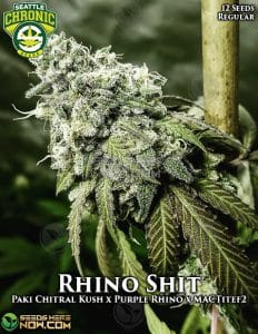 Rhino shit (regular) - seattle chronic seeds