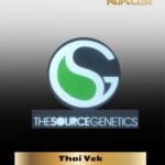 Thai Vek (Regular) - The Source Genetics