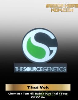 Thai Vek (Regular) (space) The Source Genetics