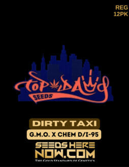 Top Dawg Seeds - Dirty Taxi {REG} [12pk]Top Dawg Dirty Taxi