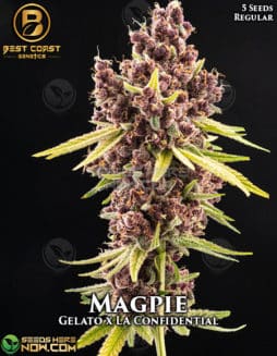 Best Coast Genetics - Magpie {REG} [5pk]magpie