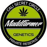 Billy Wonka (Regular) - MaddFarmer Genetics