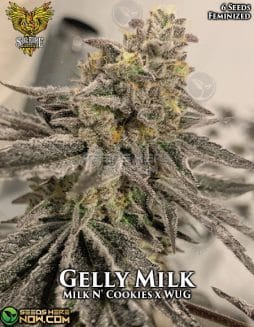 Solfire Gardens - Gelly Milk RETIRED {FEM} [6pk]