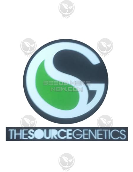 - The Source Genetics - Cookie Monster X Mango Haze {Reg} [10Pk]
