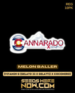 Melon baller (regular) - cannarado genetics