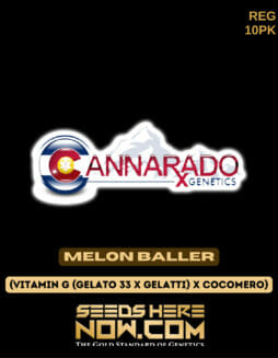 Cannarado Genetics - Melon Baller {REG} [10pk]Cannarado Melon Baller