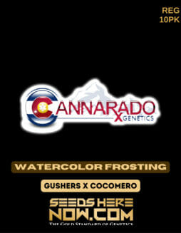 Cannarado Genetics - Watercolor Frosting {REG} [10pk]Cannarado Watercolor Frosting