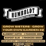 GYOG Sisters #2 (Feminized) - Humboldt Seed Company