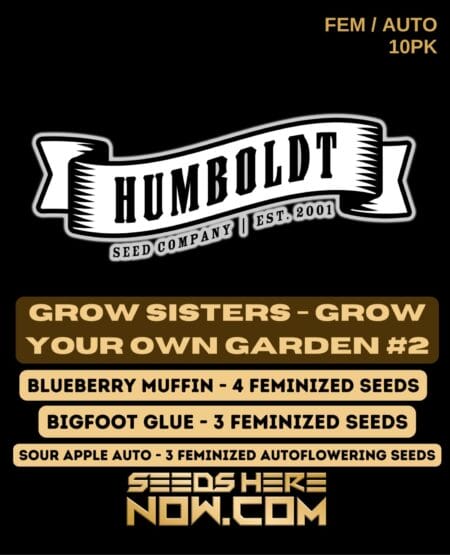 Humboldt Seed Company - Gyog Sisters #2 {fem} [10pk]