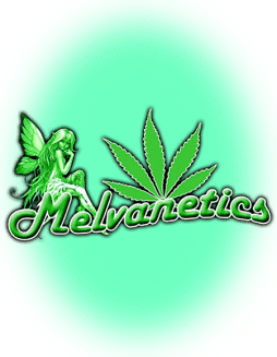 Melvanetics - 420 Special