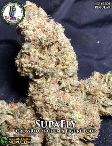 Supa Fly (Regular) (space) Dominion Seed Company