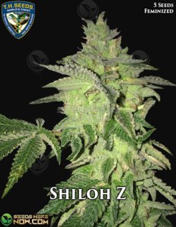 T.H. Seeds - Shiloh Z {FEM} [5pk]Th-seeds-shiloh-z-fem