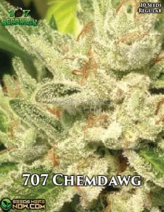 707-seed-bank-707-chemdawg
