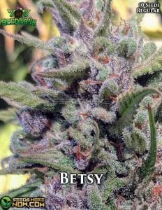 707-seed-bank-betsy