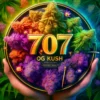 707 Og Kush (regular) - 707 Seed Bank