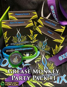 Grease monkey party box #1 feminized (feminized) - exotic genetix