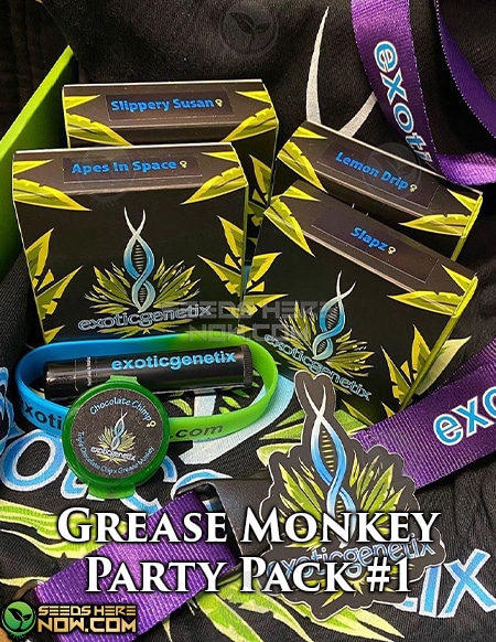 - Exotic Genetix - Grease Monkey Party Box #1 Feminized