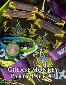 Grease monkey party box #2 feminized (feminized) - exotic genetix
