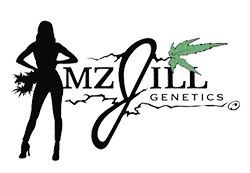 Mz Jill Logo Transparent