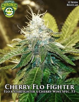 Seattle Chronic Seeds - Cherry Flo Fighter {REG} [12pk]