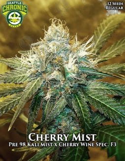 Seattle Chronic Seeds - Cherry Mist {REG} [12pk]